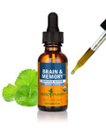 Herb Pharm Organic Nootropic Brain & Memory Supplement with Ginkgo Biloba Liquid Extract: Fast Absorption for Mental Focus Support, Ginkgo Supplement, Vegan, Gluten-Free, Non-GMO, 1 Oz Herb PharmBuy Supplements Australia