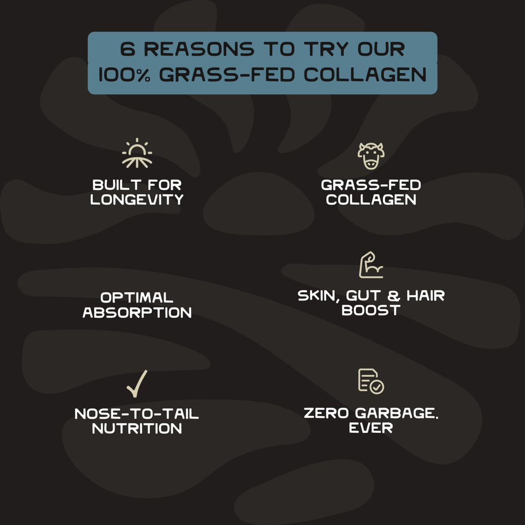 Lineage Provisions 100% Grass Fed Collagen Powder UNFLAVORED – Hydrolyzed Bovine Collagen Peptides with Trachea, Scapula, Eggshell Membrane – Collagen Protein Powder with Vitamin C – 30 Servings Lineage Provisions buy supplements Au
