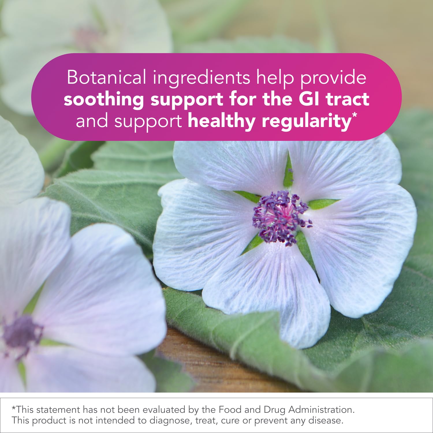 Biocidin Proflora 4R Spore Probiotic - Digestive Health Probiotics for Women & Men - Clinically Researched Bacillus Strains & Organic Aloe, Marshmallow Root for Gut Support (30 Vegan Capsules) Bio-Botanical ResearchBuy Supplements Australia