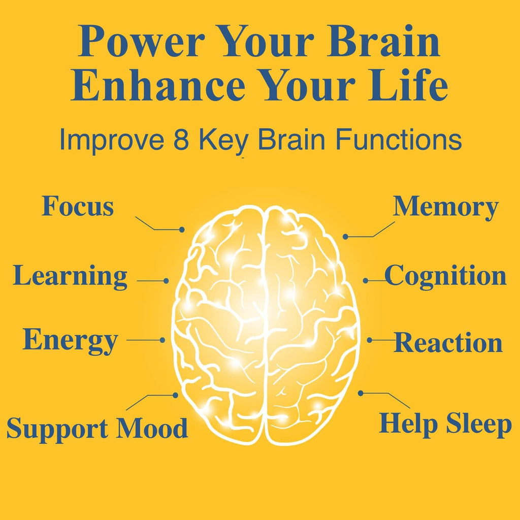 OPTINOURISH Brain Supplement for Memory and Focus, Nootropic for Adults, Fuel Brain Energy & Mental Clarity, Caffeine Free,Cognitive Support, Doctor-Formulated, Made in USA,cGMP,120 Caps OPTINOURISHBuy Supplements Australia