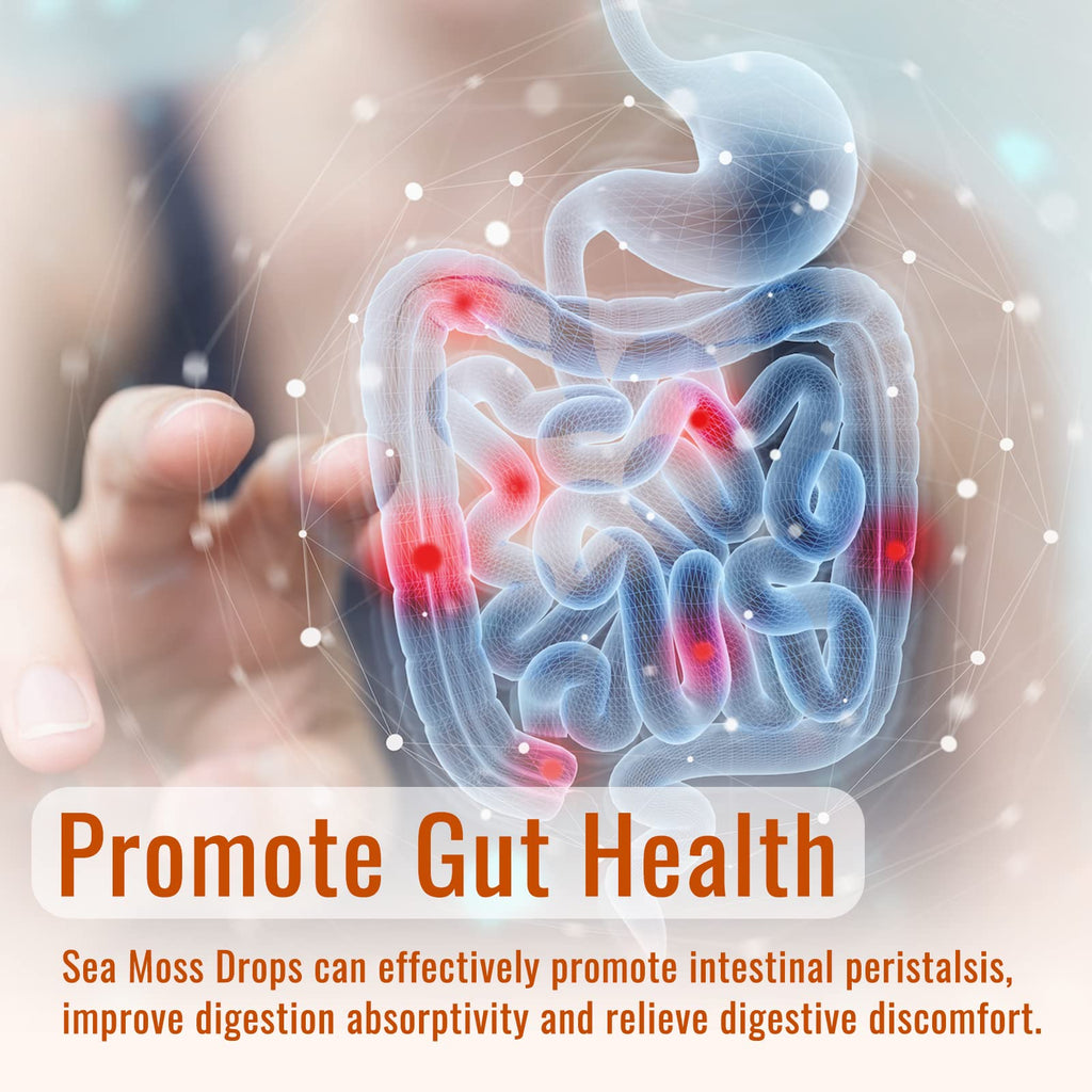 Sea Moss Liquid Drops: Organic Irish Sea Moss 2500mg with Turmeric, Bladderwrack dilibBuy Supplements Australia