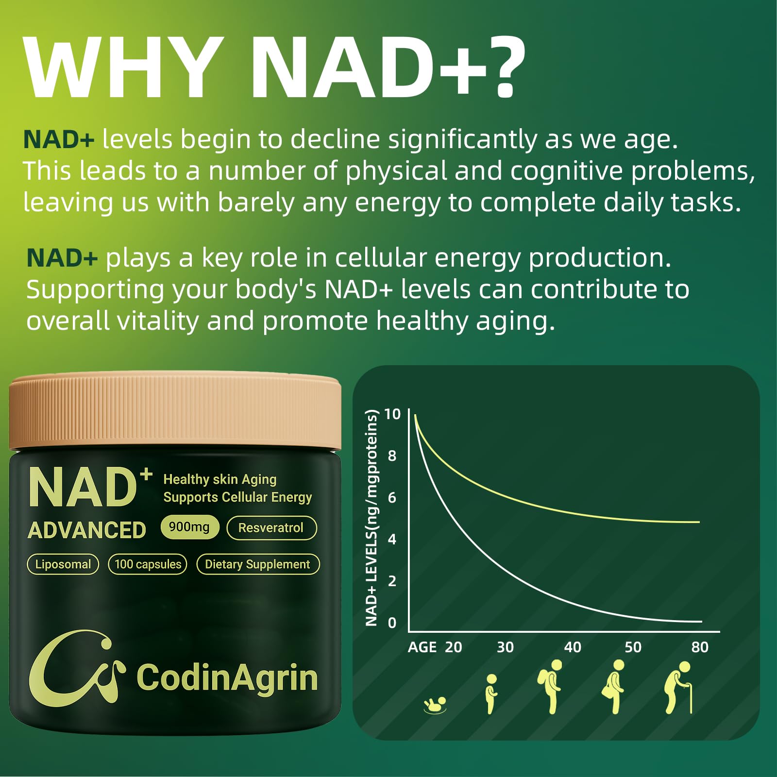 CodinAgrin NAD+ Supplement with Resveratrol 900mg Nicotinamide Adenine Dinucleotide Complex for Cellular Energy Repair, Anti-Aging & Mental Clarity Support, Non-GMO, Vegetarian Friendly, 100 Capsules CodinAgrinBuy Supplements Australia