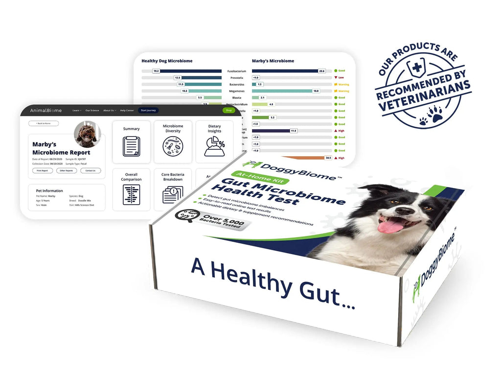 AnimalBiome Dog Gut Health Test – DoggyBiome At Home Stool Testing Kit, Canine Fecal Analysis for Digestive Issues, Diarrhea & Allergy Insights w/Personalized Report & Custom Plan (Dogs Outside US) AnimalBiomeBuy Supplements Australia