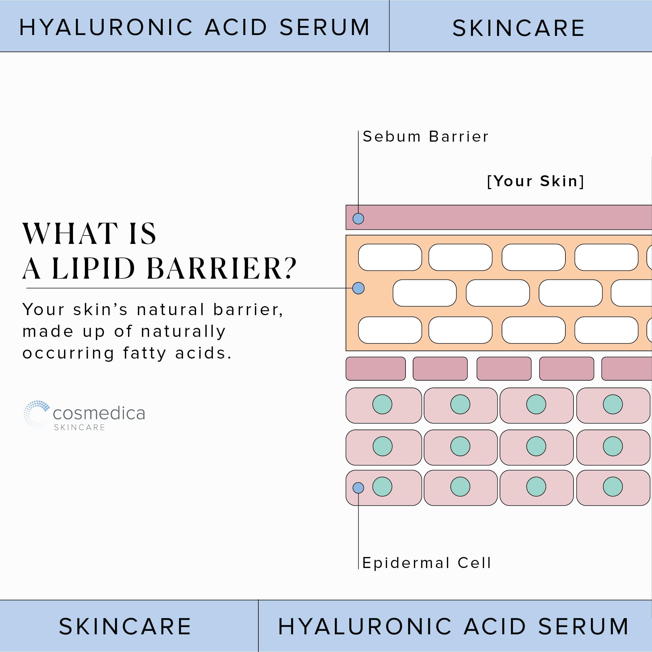 Hyaluronic Acid Serum for Skin 100% Pure Anti Aging Serum Intense Hydration Cosmedica SkincareBuy Supplements Australia