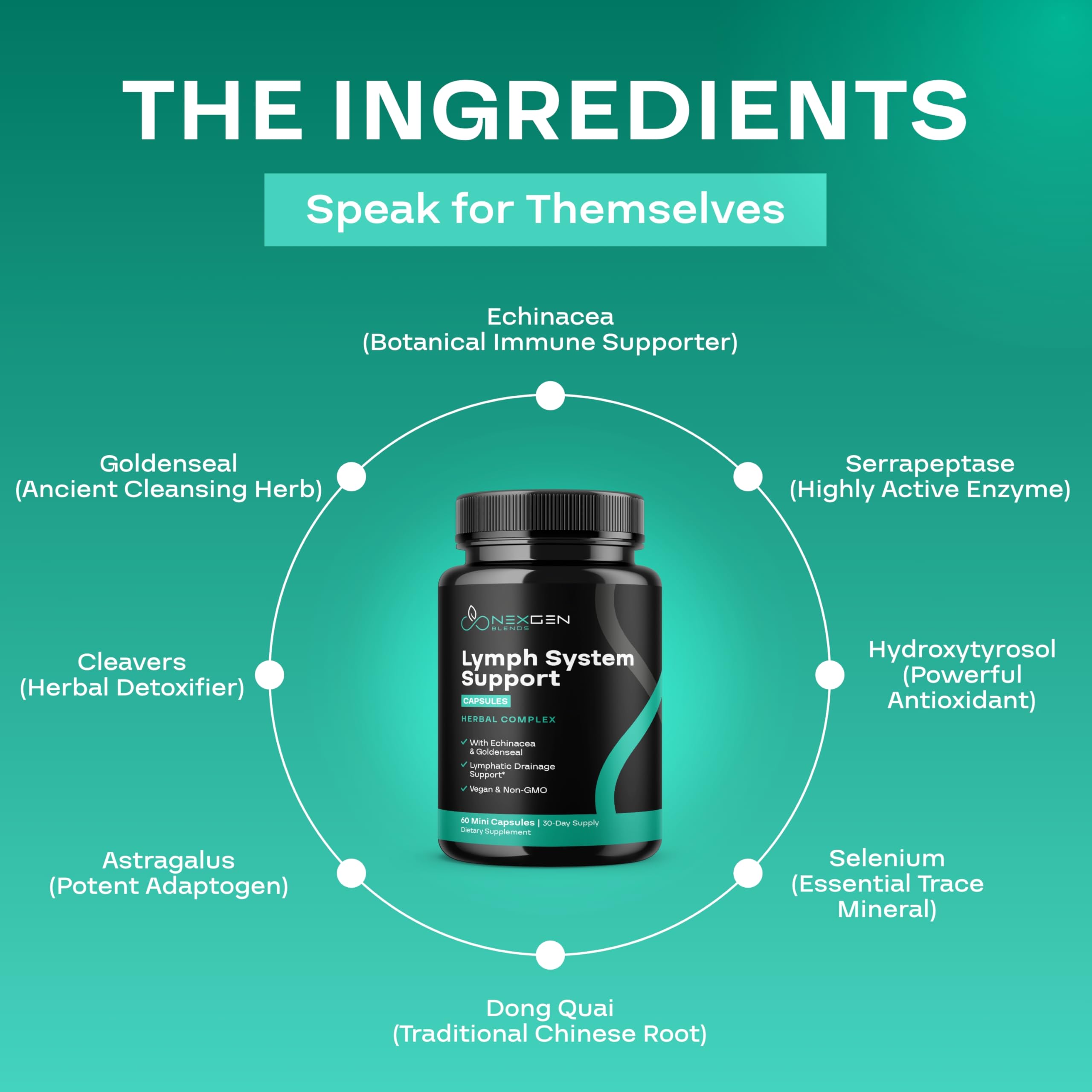 Herbal Lymph System Support Supplement - Lymphatic Support Complex with Echinacea Goldenseal Astragalus & Hydroxytyrosol for Lymphatic Drainage & Immune Support - Vegan Non-GMO Gluten Free (1 Month) NEXGEN BLENDS buy supplements Au
