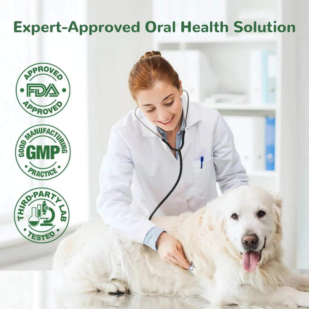 Vetriuntrix Dog Teeth Cleaning Powder, Dental Powder for Dogs Teeth Tartar Remove & Plaque Off, Fresh Breath for Dogs with Natural Plants Blend, Enzymes and Postbiotics, 300g VetriuntrixBuy Supplements Australia