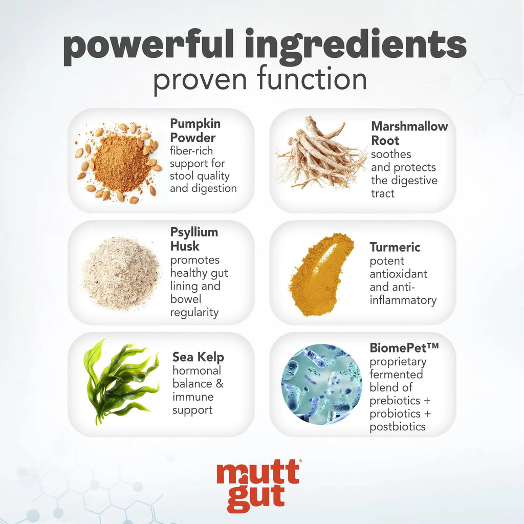 MuttGut® 3-in-1 Puppy & Dog Probiotics + Prebiotics + Postbiotics Chews - Promotes Digestive Health, Supports Immune System and Overall Health - Dog Diarrhea Relief & Immune Support - 60 Soft Chews MUTTGUTBuy Supplements Australia
