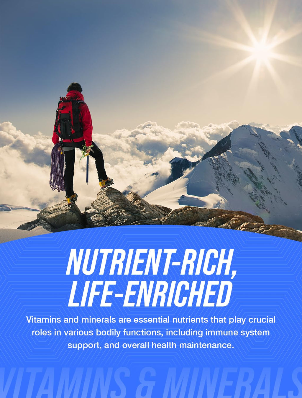 BulkSupplements.com NAD Capsules - Nicotinamide Adenine Dinucleotide, NAD Supplement 500mg - for Energy Support, Pure & Gluten Free, 1 Capsule per Serving, 30 Capsules (Pack of 1) BulkSupplementsBuy Supplements Australia