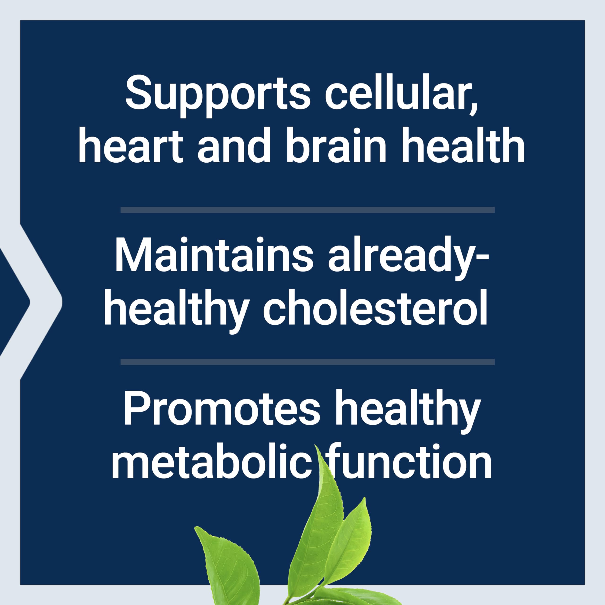 Life Extension Decaffeinated Mega Green Tea Extract – Polyphenol-Rich, Cell Health Life ExtensionBuy Supplements Australia