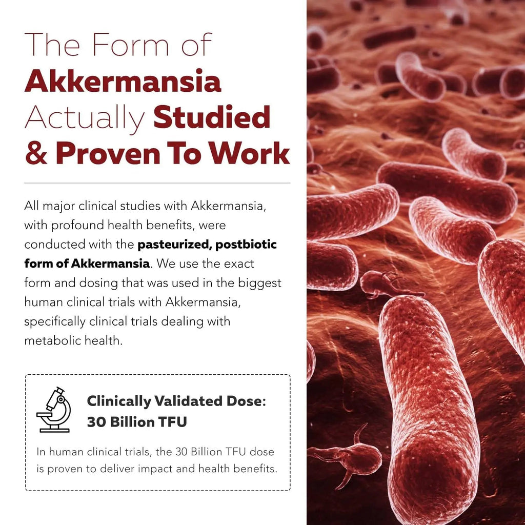 AK-Postbio: Akkermansia Probiotic 30 Billion TFU - Max Strength, Clinically Validated Dose & Patented Strain - Superior Pasteurized Form, Highest Absorption, Delivery - GLP-1 Probiotic - 30 Servings Triquetra HealthBuy Supplements Australia