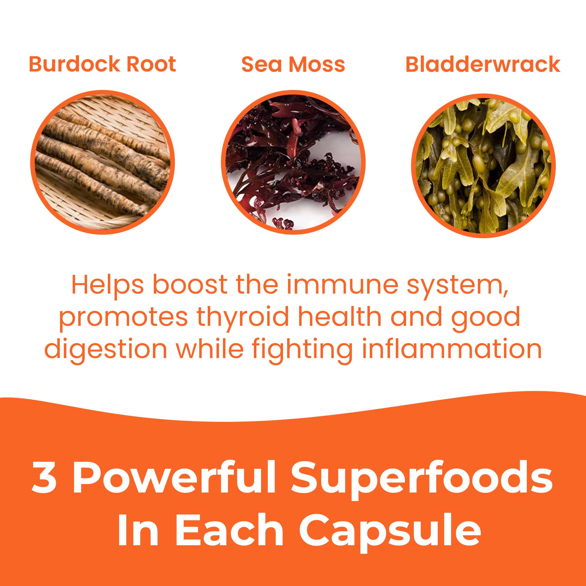 INFINITE AGE 1250mg Sea Moss Advanced Superfood Capsules, 60 Count - High-Potency, Vegan, Made in The USA - Irish Seamoss, Bladderwrack,