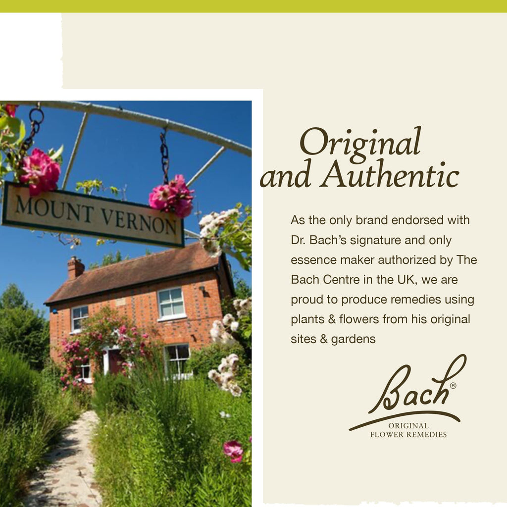 Bach Original Flower Remedies, Honeysuckle for Embracing The Now (Non-Alcohol Formula) BachBuy Supplements Australia