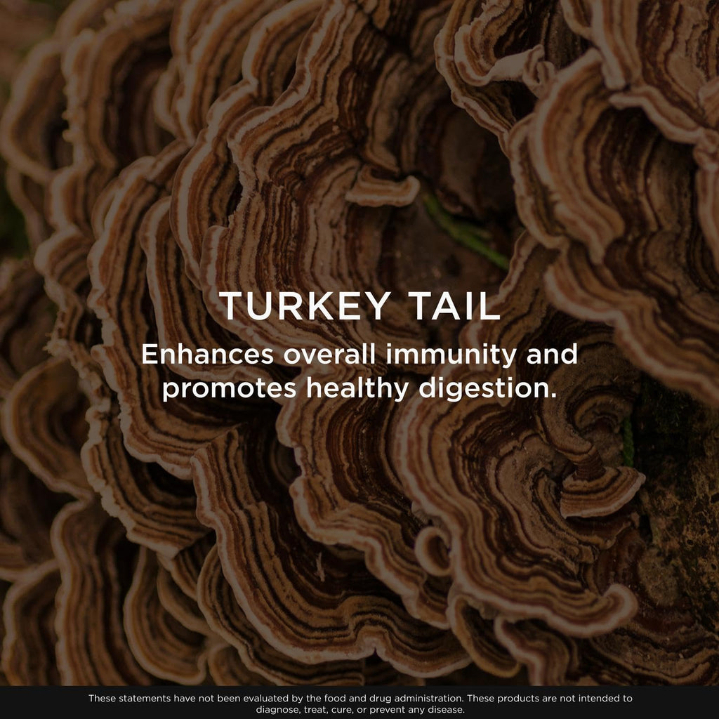 The Genius Brand Genius Turkey Tail - Plant-Based Supplement for Immune, Gut & Antioxidant Support - Organic & Non-GMO - 120 Veggie Capsules The Genius BrandBuy Supplements Australia