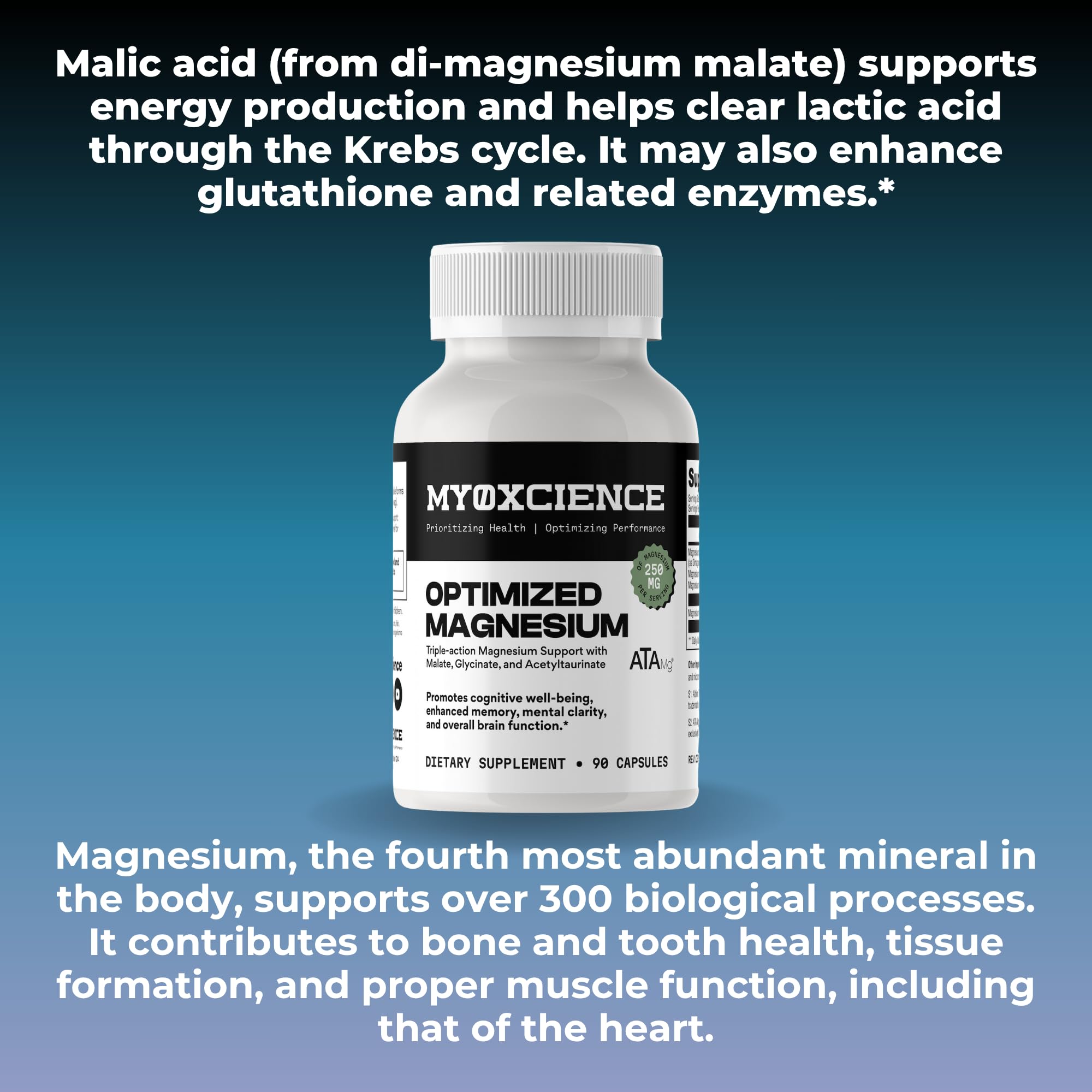 MYOXCIENCE Optimized Magnesium Glycinate + Magnesium Taurate (as ATAmag®) for High Brain Bioavailability to Support Stress Relief and Sleep | 30 Servings MYOXCIENCE buy supplements Au