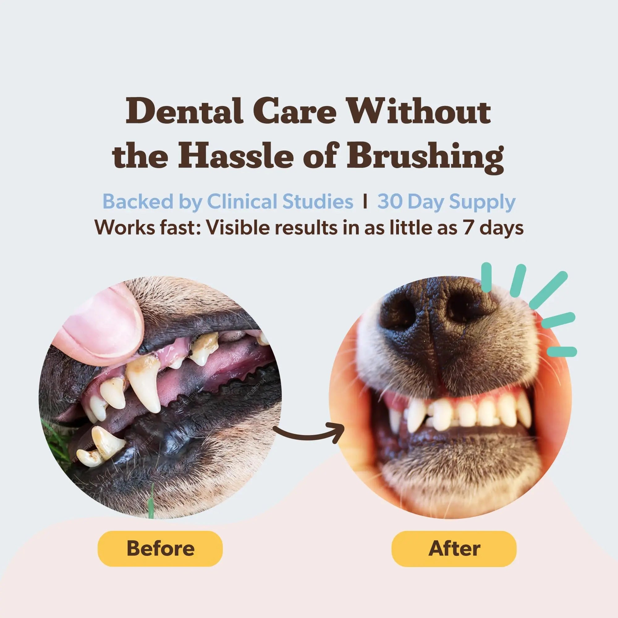Natural Dog Company Dental Powder for Dogs – Freshens Breath & Helps Reduce Plaque & Tartar, Natural No-Brushing Canine Oral Health Postbiotic Supplement, Vet Formulated, Made in USA, 30-Day Supply Natural Dog CompanyBuy Supplements Australia