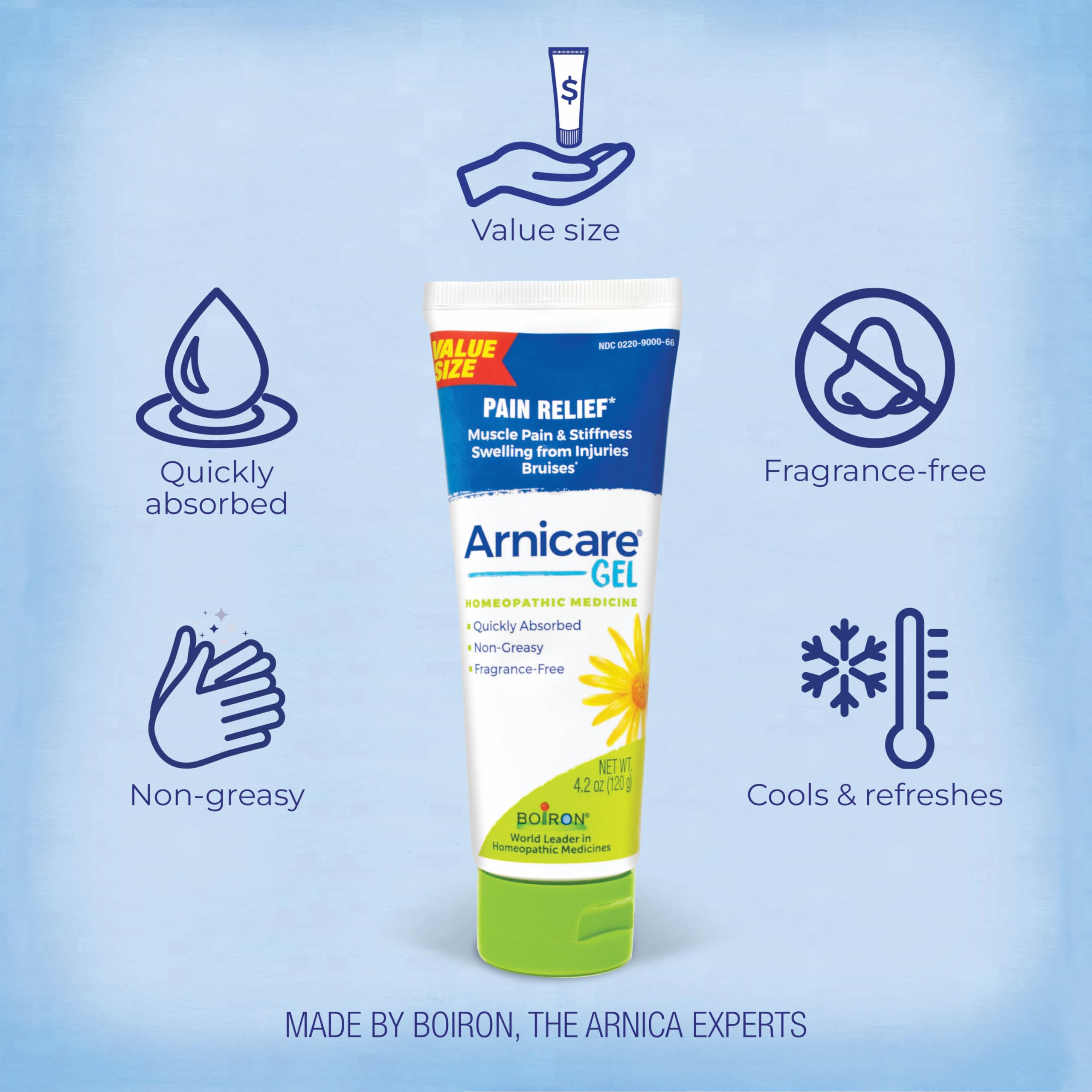 Boiron Arnicare Gel 4.2 oz (Twin Pack) for Joint Pain Relief, Muscle Pain, Muscle Soreness, and Swelling from Bruises or Injury - Non-Greasy and Fragrance-Free Arnica BoironBuy Supplements Australia