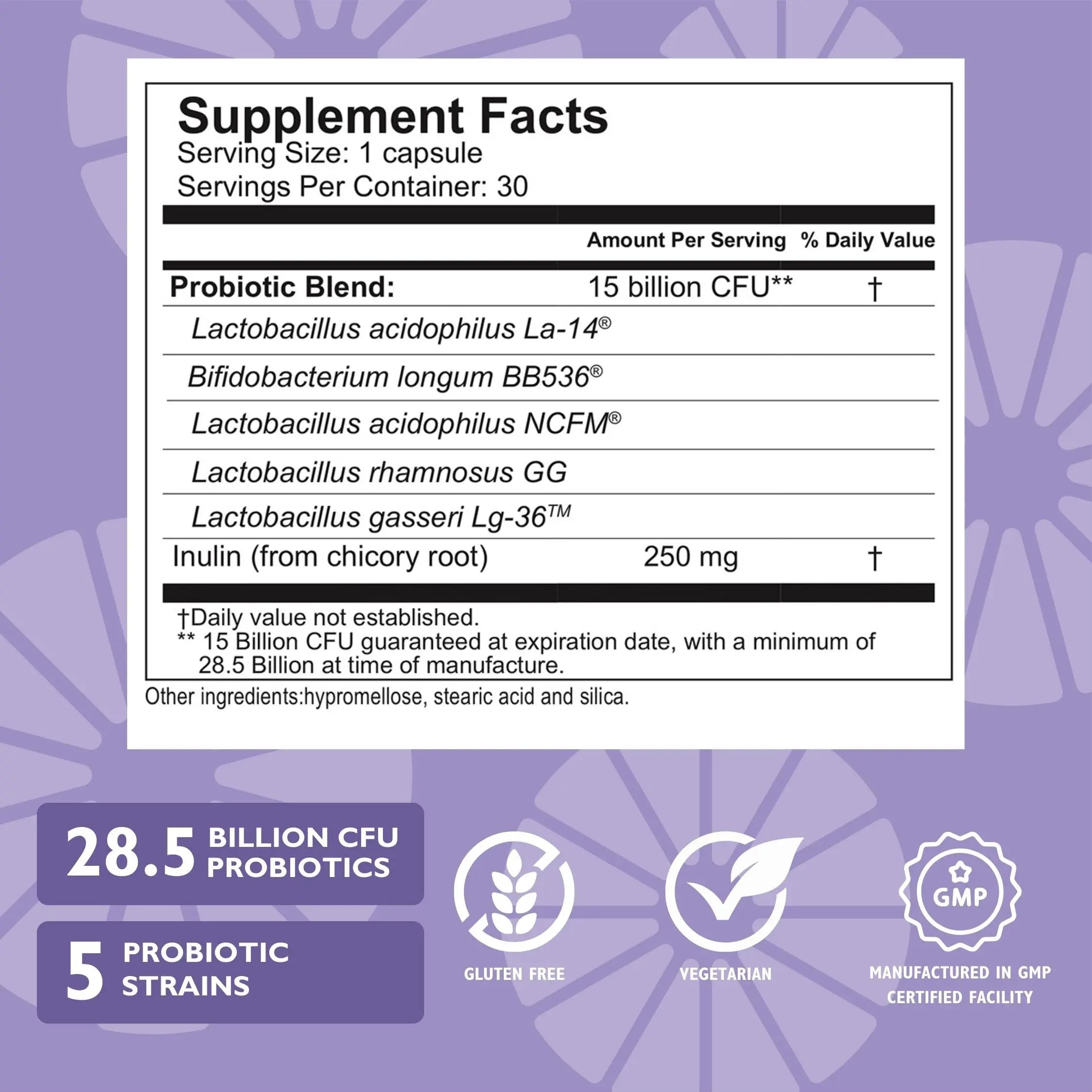 Celebrate Bariatric Essentials Bundle – CelebrateONE Multivitamin, Iron with Vitamin C Chewables, & Balance Probiotic + Prebiotic – Complete Nutritional & Digestive Support for WLS Patients Celebrate Bariatric SupplementsBuy Supplements Australia