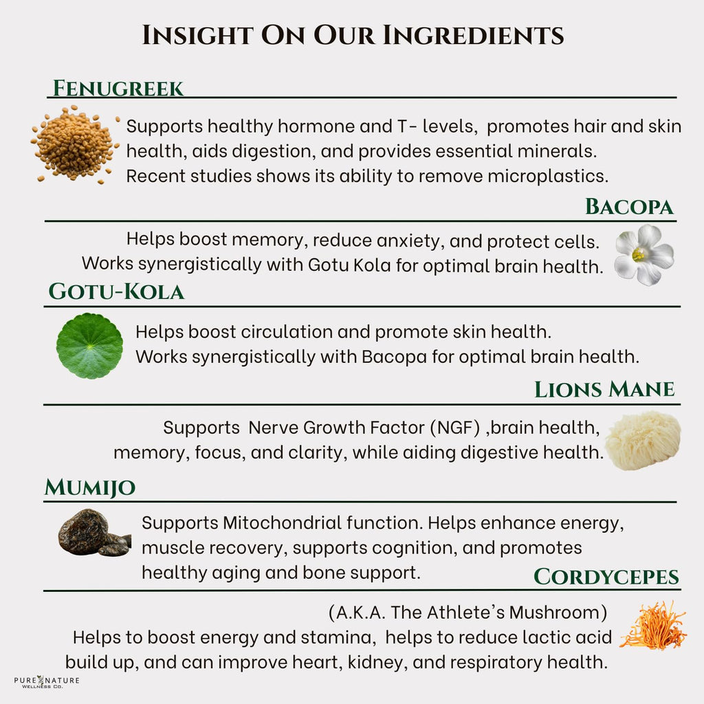 Focus + Energy + Performance Support-6-in-1 Mushroom Nootropic & Mitochondrial Complex-Advanced Brain Supplement-Natural Energy-Caffeine Free Biohack with Lion’s Mane,Cordyceps,Mumijo,Fenugreek Pure Nature Wellness Co.Buy Supplements Australia
