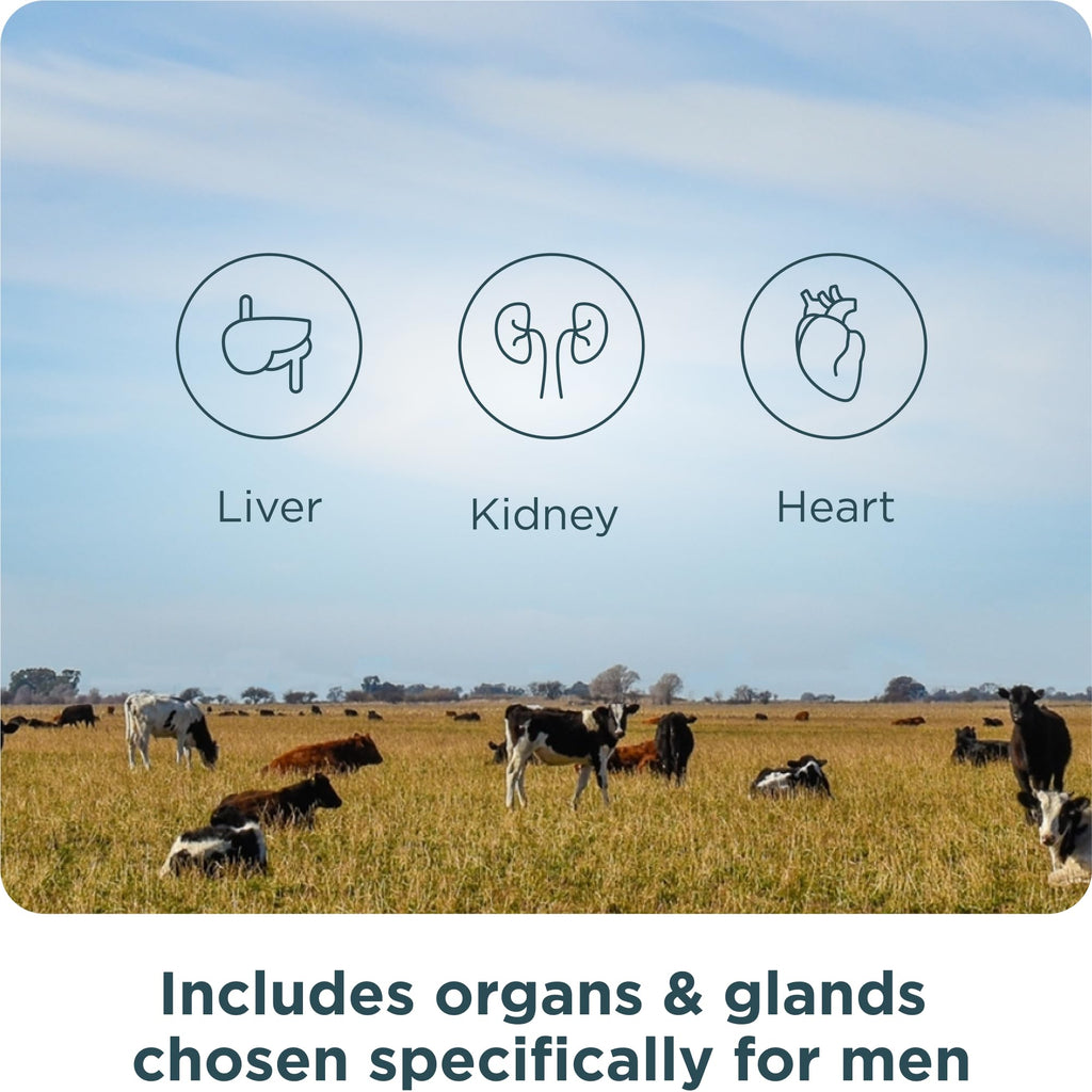 Ancient Nutrition Organ Supplements for Men, Grass-Fed and Wild Organ Complex Capsules, Liver, Prostate, Pancreas Supports Male Performance, Healthy Aging, 180 Ct Ancient NutritionBuy Supplements Australia