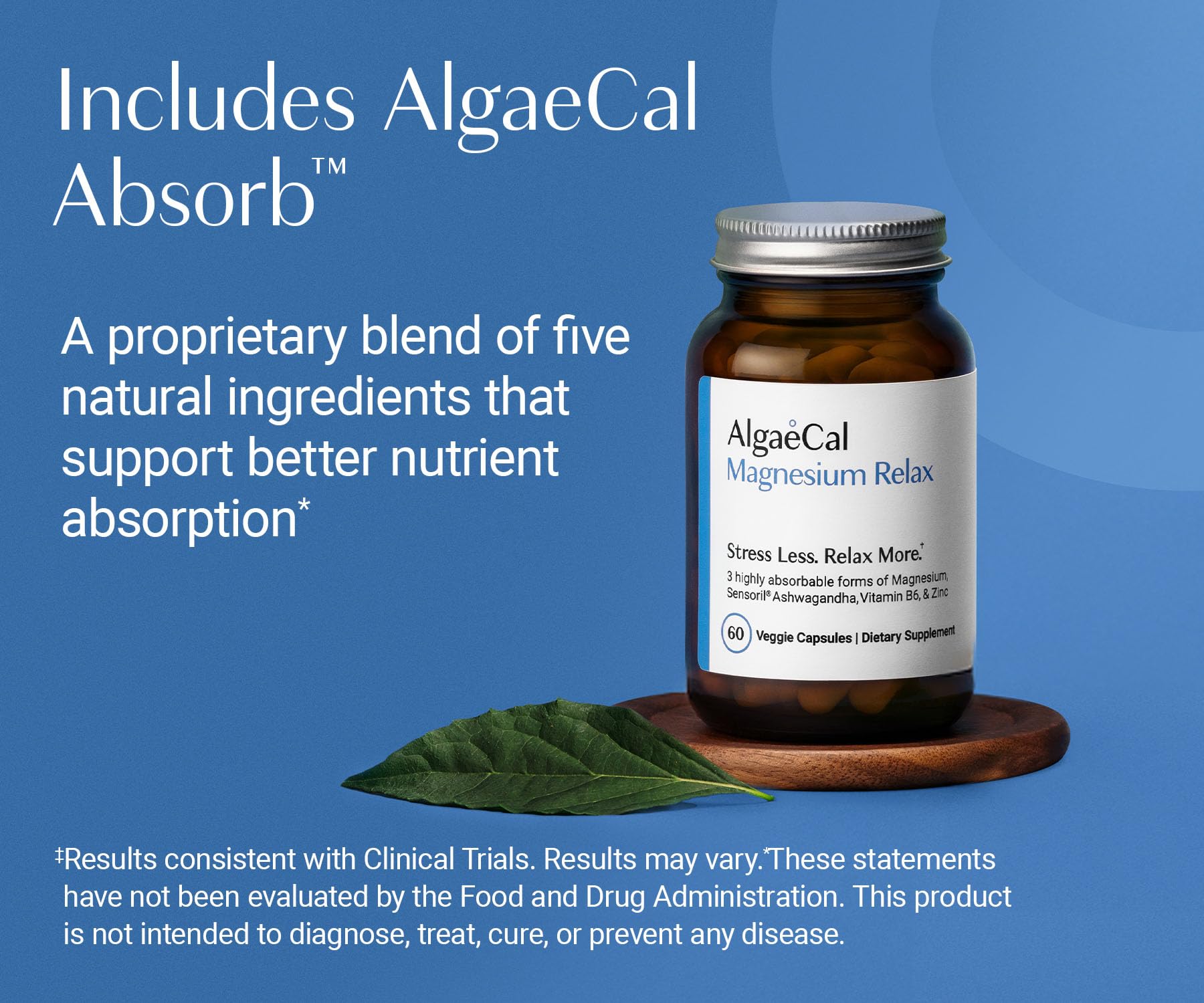AlgaeCal Magnesium Relax™ - Chelated Magnesium with Ashwagandha for Sleep & Occasional Anxiety - Glycinate, Malate, Citrate - Sleep, Mood, & Cortisol Support (60 Caps - 1 Month Supply) ALGAECALBuy Supplements Australia