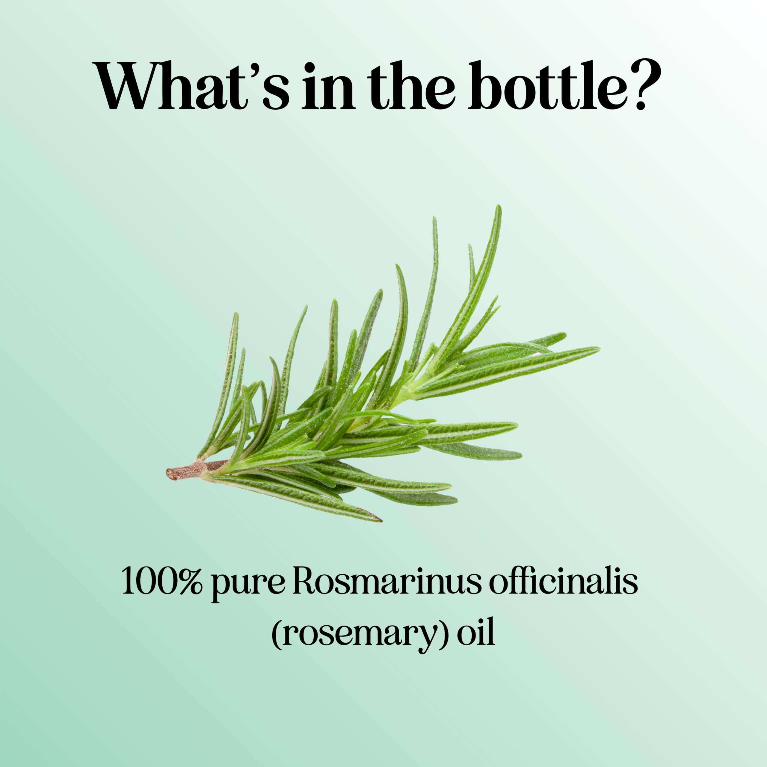 Pure Rosemary Essential Oil for Aromatherapy - Pure Rosemary Oil for Hair Skin and Nails Maple HolisticsBuy Supplements Australia