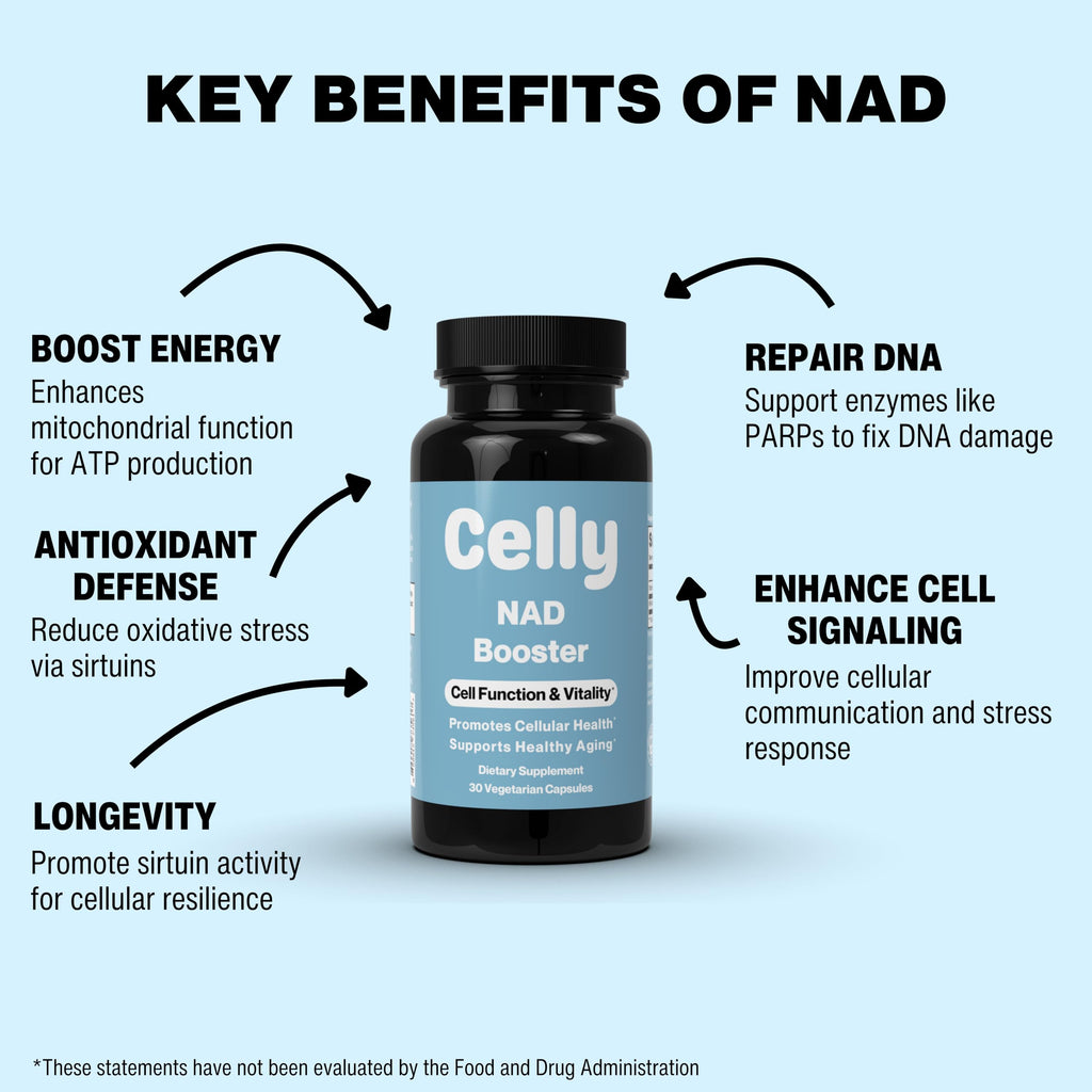 Celly NAD Booster | Longevity Supplement for Healthy Aging with NR (Nicotinamide Riboside) and Nicotinamide | Promotes Cell Function & Vitality | Non-GMO & 3rd Party Tested CellyBuy Supplements Australia