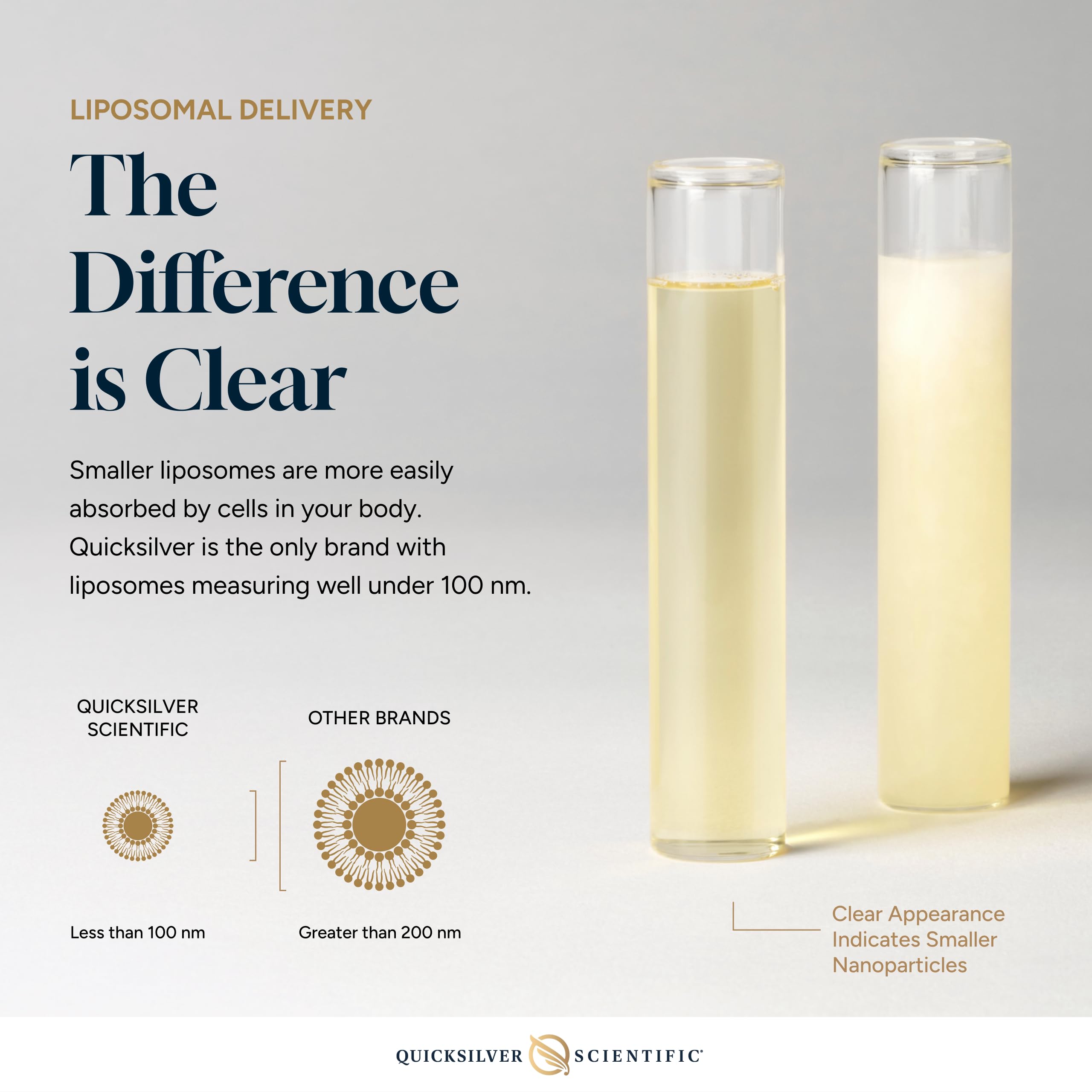 Quicksilver Scientific Vitamin C + R Lipoic Acid - Liposomal Vitamin C with RLA - Antioxidant, Detox & Immune Support Supplement - with Superior Absorption (50 ml) Quicksilver ScientificBuy Supplements Australia