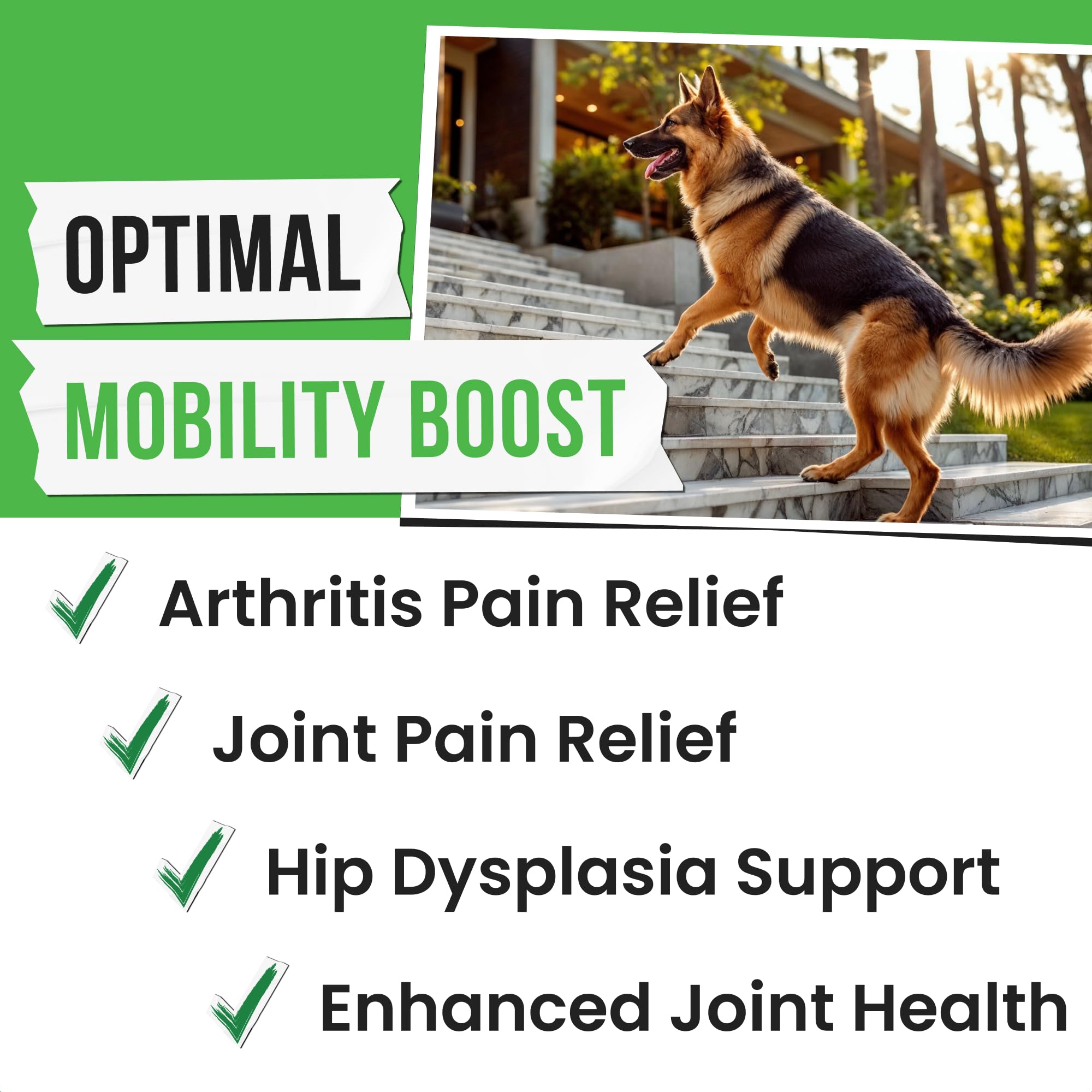 Pawsential Hemp Treats - Dog Joint Supplement - Mobility Support Chews w/Glucosamine Chondroitin, Turmeric, MSM - Hip & Joint Chews - Joint Pain Relief Treats - 120Ct PawsentialBuy Supplements Australia
