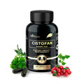 CISTOFAN Kidney Support Supplement – Herbal Formula with Java Tea, Birch Leaf, Parsley & Cranberry – Supports Urinary Tract & Kidney Function – Natural Diuresis – 60 Capsules – Non-GMO – Made in EU VitaPharmBuy Supplements Australia
