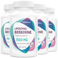 Liposomal Berberine Supplement 1500mg - High Bioavailability Berberine HCL Capsules 