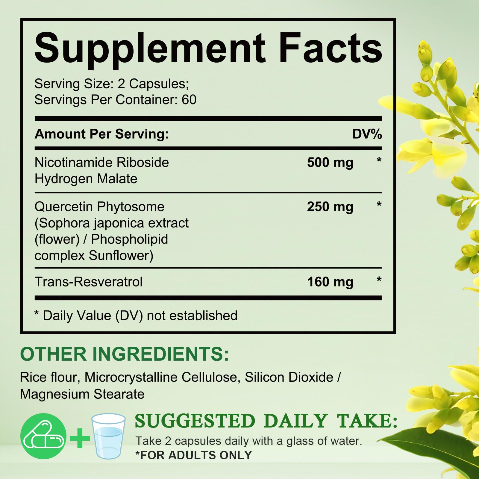 NAD Supplement, Nicotinamide Riboside, NAD 910MG Liposomal Supplements for Women & Men, NAD+ Supplement for Anti Aging and Cell Regeneration -120 Capsules NIFEISHIBuy Supplements Australia
