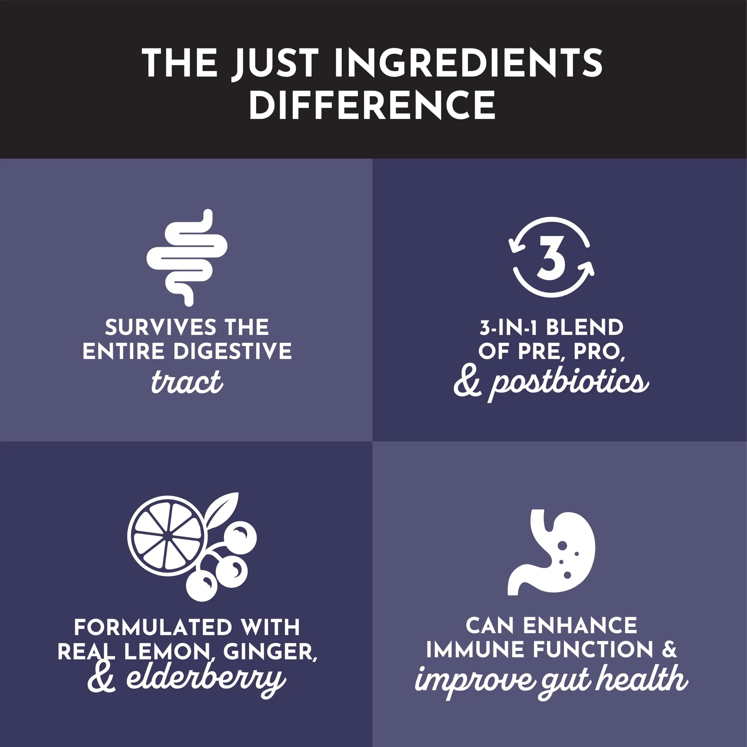 JUST INGREDIENTS Elderberry Lemonade 3-in-1 Probiotic Complex - Prebiotics, Probiotics & Postbiotics - 30 Sticks JUST INGREDIENTSBuy Supplements Australia