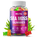 Bottle of MSLOTAL Sea Moss Gummies with colorful gummy bears on a white background