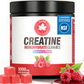 GABE SUNNYBEARS Creatine Gummies, NSF Certified, 5g Creatine Monohydrate per Serving with Taurine & B12, Raspberry Flavor, 160 Count, for Men & Women GABE SUNNYBEARSBuy Supplements Australia