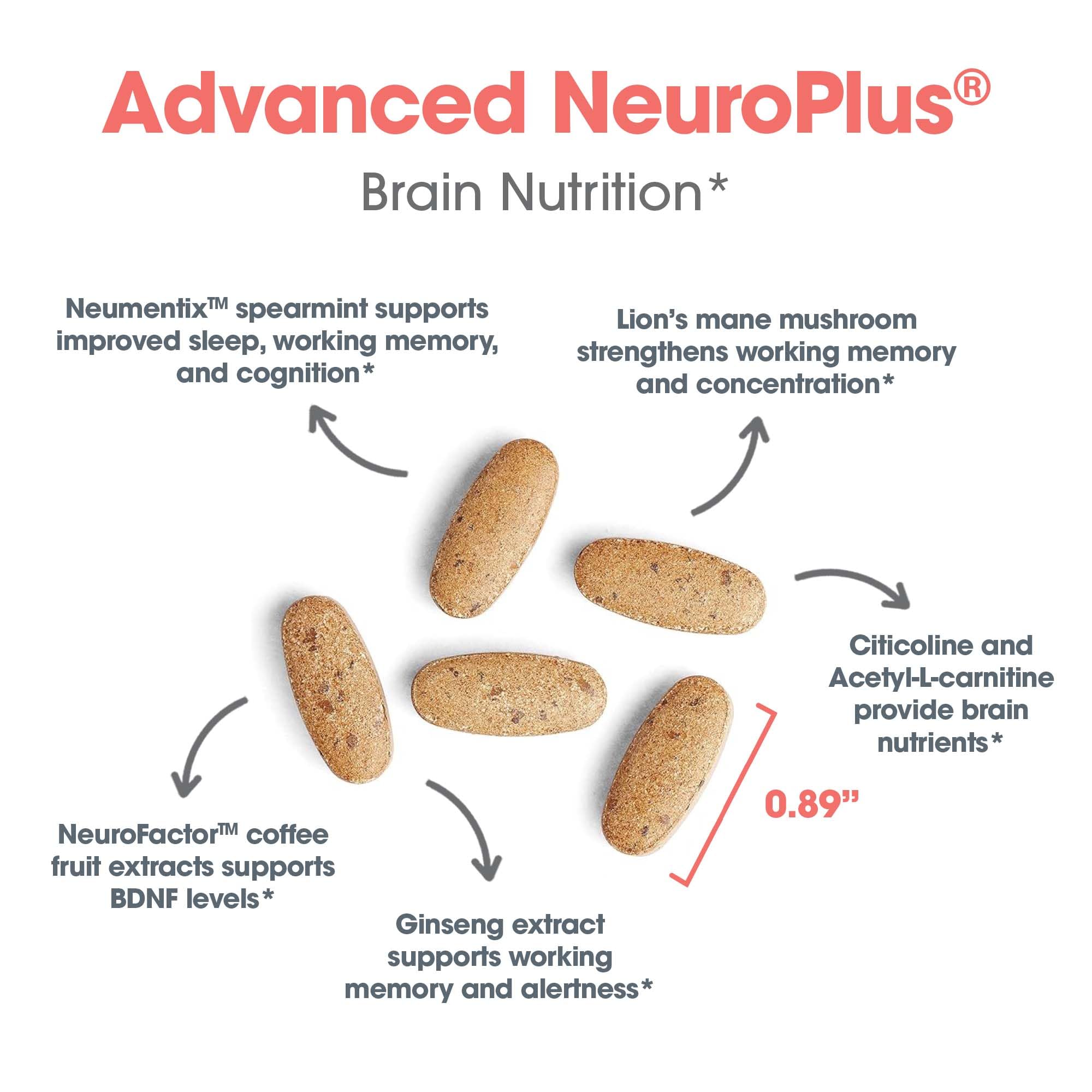 Allergy Research Group Advanced NeuroPlus - Nootropic Formula with Spearmint Extract, Lions Mane & Citicoline - Supports Working Memory Focus & Cognitive Function - 30 Servings - 90 Tablets Allergy Research Group buy supplements Au