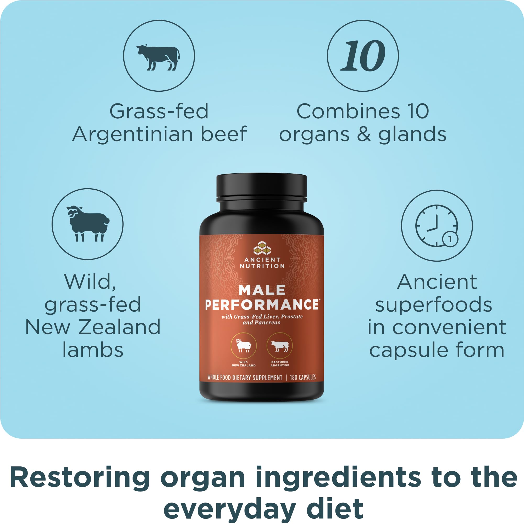 Ancient Nutrition Organ Supplements for Men, Grass-Fed and Wild Organ Complex Capsules, Liver, Prostate, Pancreas Supports Male Performance, Healthy Aging, 180 Ct Ancient NutritionBuy Supplements Australia