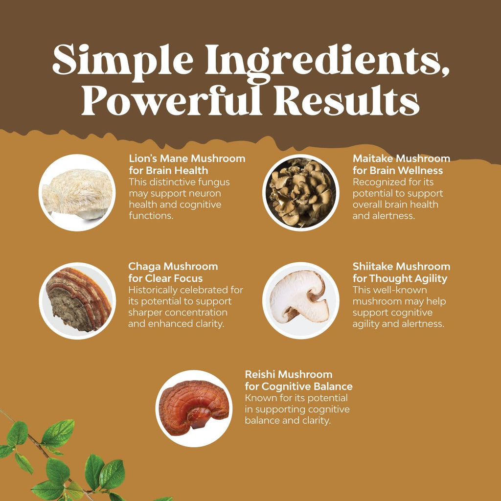 Advanced Lion's Mane Mushroom Supplement - Lions Mane Supplement Capsules with Reishi Chaga Maitake & Shiitake for Brain Health Memory Support & Focus - Nootropic for Mental Clarity - 120 Count Natures CraftBuy Supplements Australia