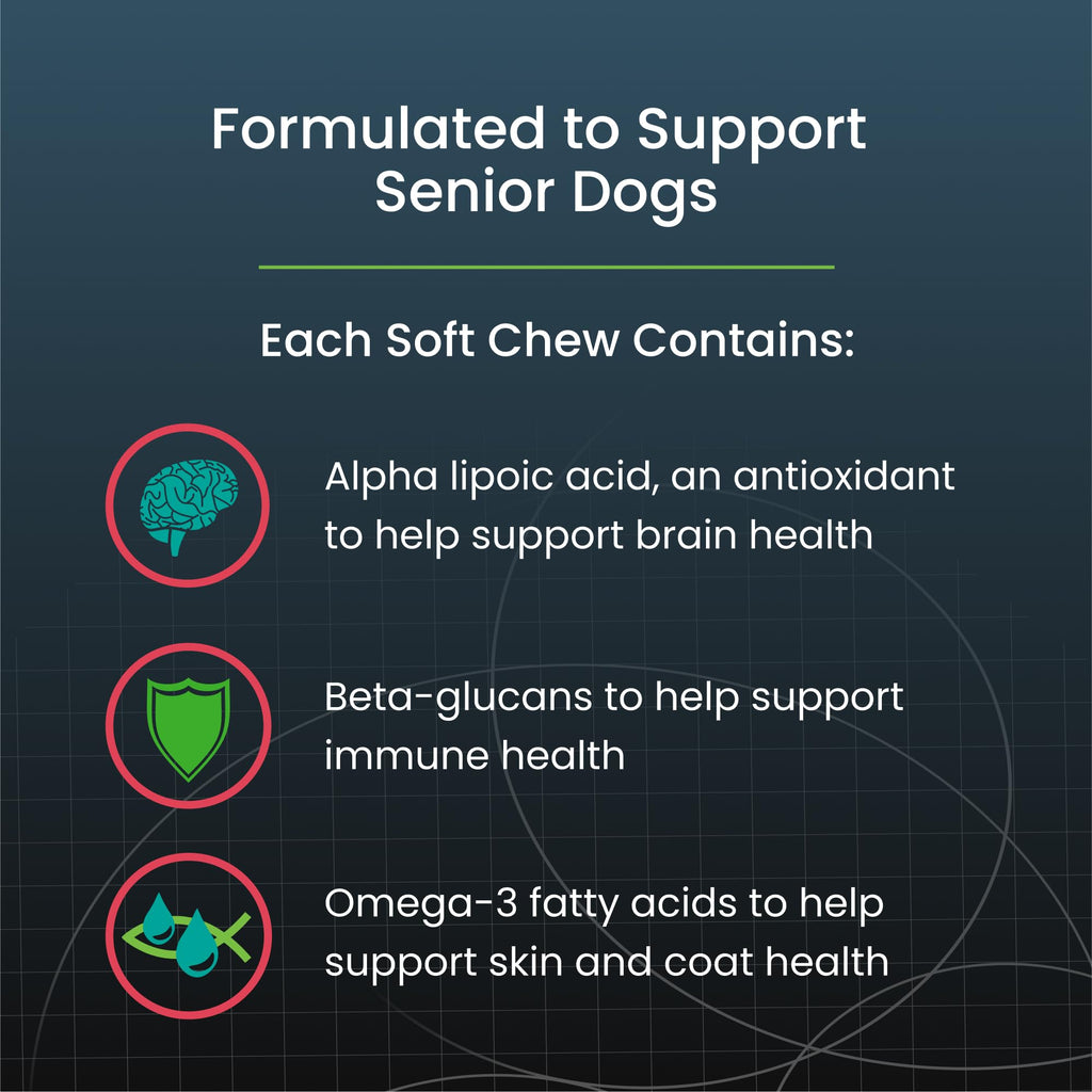 Nutramax Dasuquin Joint Health Supplement for Large Senior Dogs – for Immune Support, Skin & Coat Health, and Brain Health, 84 Soft Chews Nutramax LaboratoriesBuy Supplements Australia