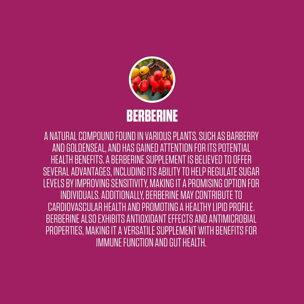 Berberine Extra Strength | #1 Rated Berberine Supplement for Heart Health, Improve Energy EPN SupplementsBuy Supplements Australia