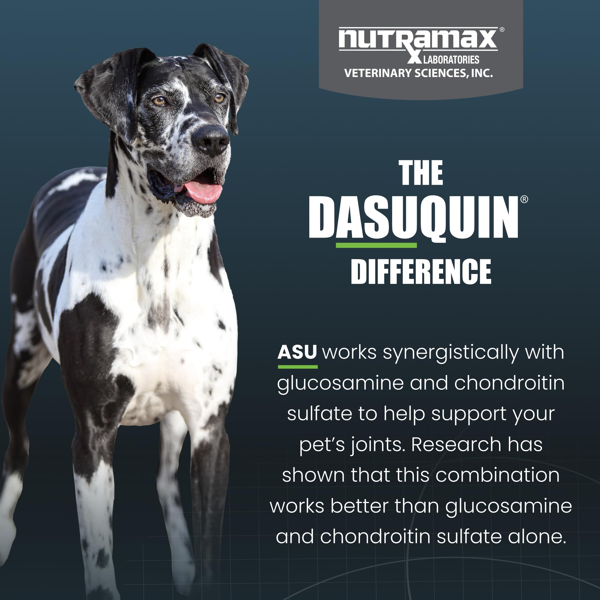 Nutramax Dasuquin for Large Dogs, Joint Health Supplement, Contains Glucosamine for Dogs, Plus Chondroitin, ASU, MSM and More, Supports Healthy Joints, Chewable Tablets, 150 Count Nutramax LaboratoriesBuy Supplements Australia
