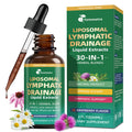 Liposomal Lymphatic Drainage Supplements with 30-in-1 Herbal Blend - Echinacea | Oregano | Milk Thistle - Sugar Free Lymph System Drops - Immune Support, Cleanse & Detox, Raspberry Flavor, 2 fl oz Femmetra buy supplements Au