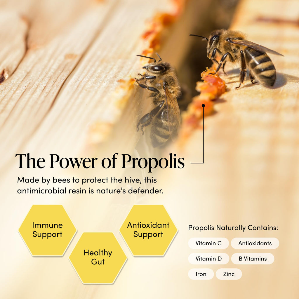Propolis Throat Spray by Beekeeper's Naturals - 95% Bee Propolis Extract, Natural Immune Support & Sore Throat Relief - Antioxidants, Keto, Paleo, Gluten-Free (1.0 oz)(Pack of 1) Beekeeper's Naturals buy supplements Au