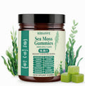 Sea Moss Gummies 16-in-1, with Black Seed Oil, Ashwagandha & Elderberry | Organic Irish Sea Moss Supplement for Men & Women | Daily Support with Manuka, Burdock Root & Vitamins C & D3, 30 Gummies SERSANVEBuy Supplements Australia