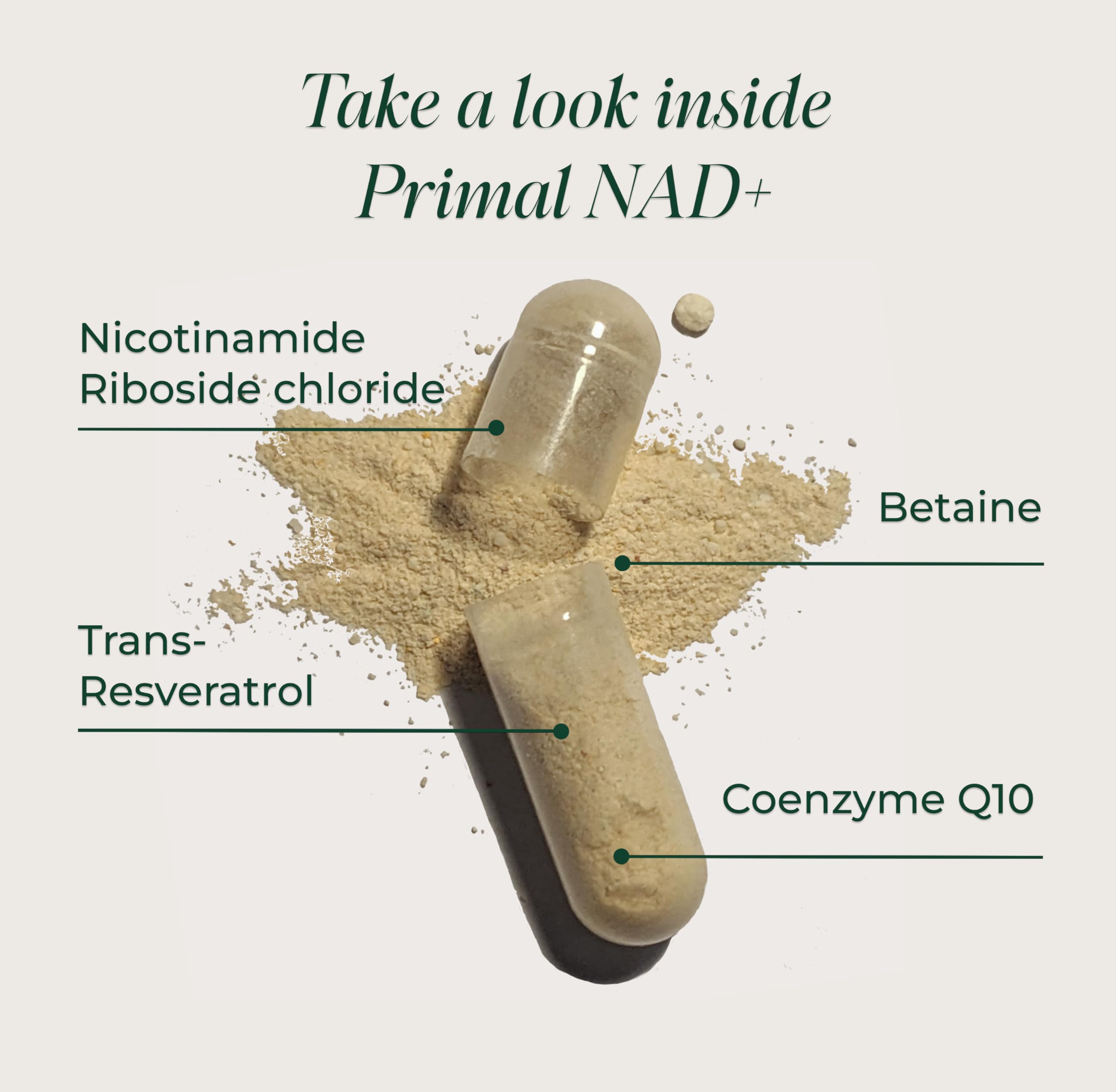 Primal Harvest NAD+ Supplement: Nicotinamide Riboside, Trans-Resveratrol, Betaine, CoQ10, NAD Supplements for Cellular Health, Energy, and Mitochondrial Support (60 Count (1 Pack) Primal HarvestBuy Supplements Australia