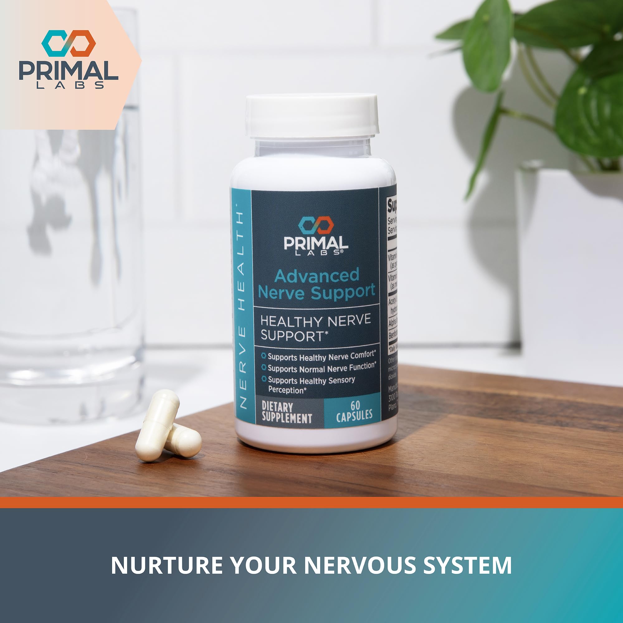 Primal Labs Nerve Support Capsules - Supports Nerve Health, Sensory Function & Comfort - Benfotiamine, Alpha Lipoic Acid, Acetyl L-Carnitine, Vitamins B6 B12-60 Count Primal LabsBuy Supplements Australia