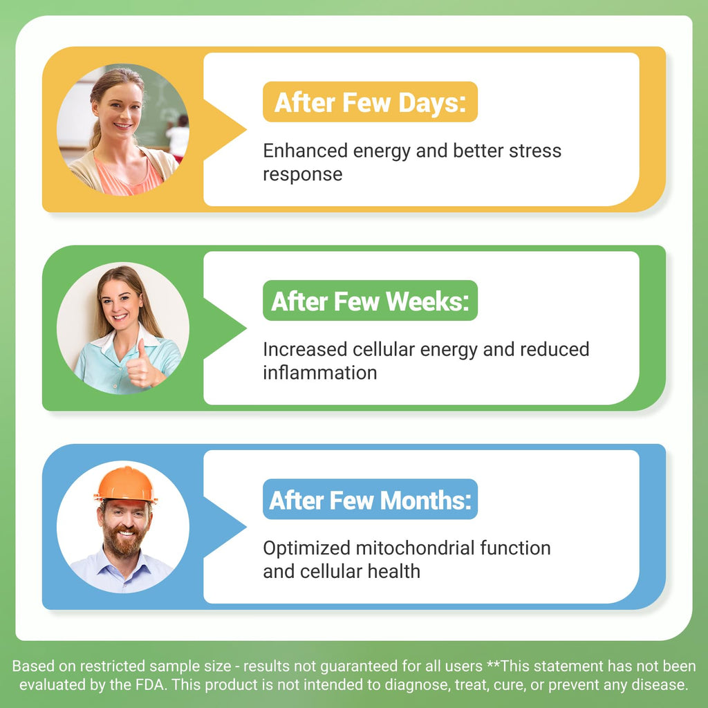 Nature Whisper NAD+ Supplement 620mg | 6-in-1 Complex with Resveratrol, Ashwagandha & Urolithin A - Daily Energy Stack for Focus, Brain Fog & Healthy Aging - 60 Capsules Nature WhisperBuy Supplements Australia