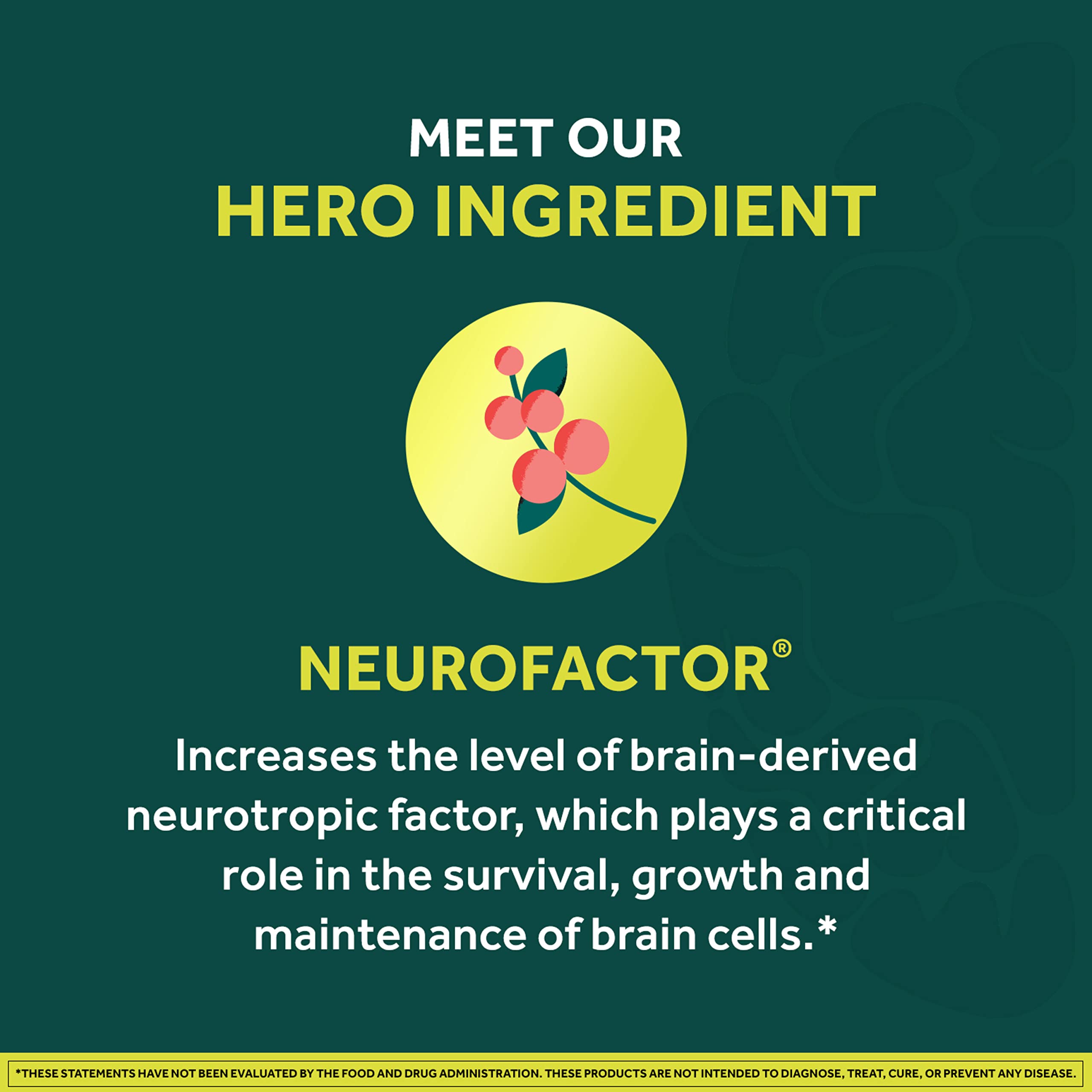 NEURIVA Brain + Energy Gummies, Nootropic Brain Supplements for Focus and Concentration with Neurofactor, Vitamin B12 & Caffeine for an Energy Boost*, 75ct Natural BlackBerry NEURIVABuy Supplements Australia