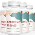 KoNefancy Berberine HCL Supplement 1000mg, High Absorption Berberine Plus Vegan 