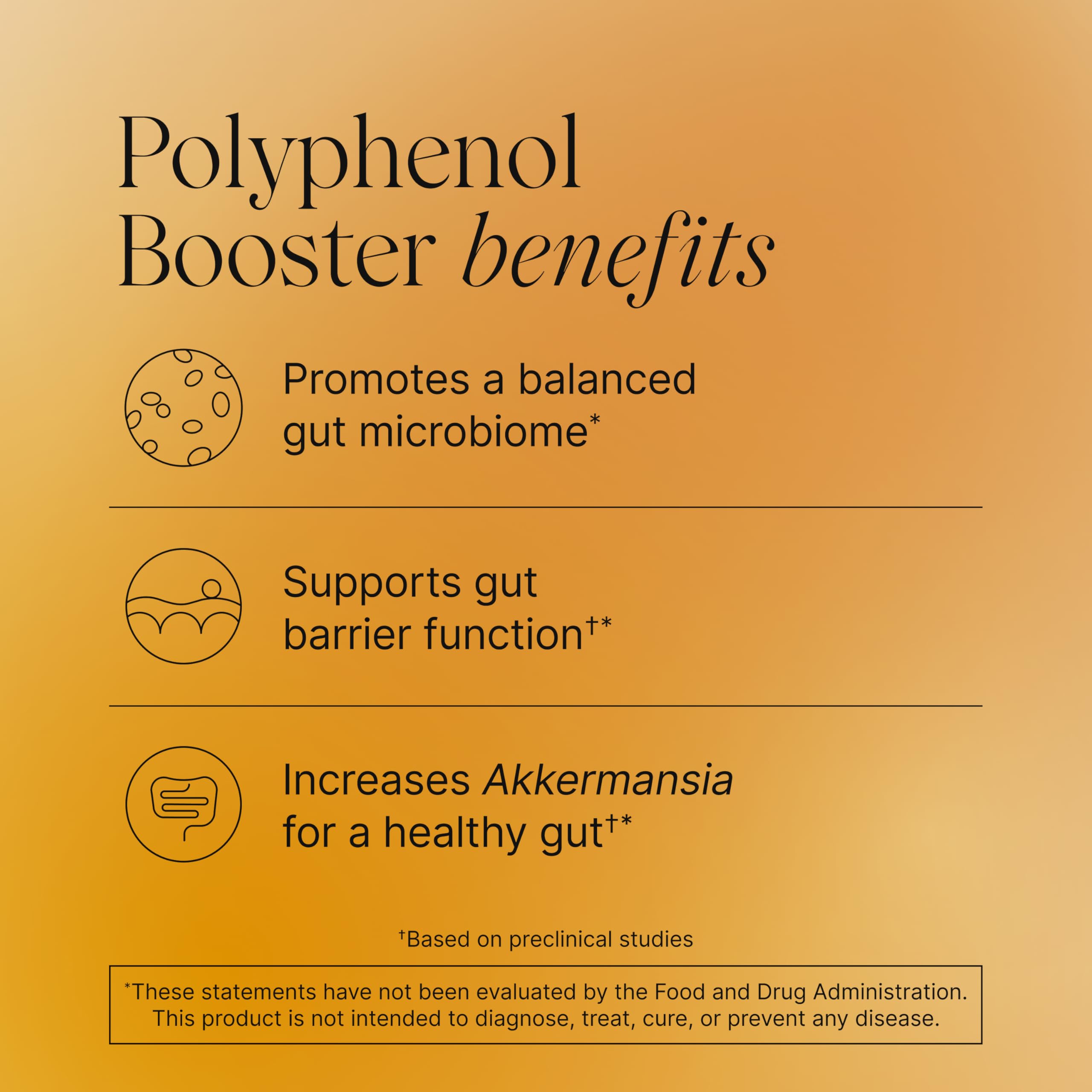 Pendulum Polyphenol Booster, Antioxidant from Superfoods, Beneficial Plant Compounds for Good Health, Helps Boost Akkermansia Muciniphila for Men & Women (60 Capsules, 1-Pack) PendulumBuy Supplements Australia
