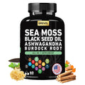 Sea Moss Black Seed Oil Ashwagandha Bladderwrack Burdock Root Turmeric & Vitamin C D3 Elderberry ACV Black Pepper - Multimineral Supplement - 60 Count GrevolBuy Supplements Australia